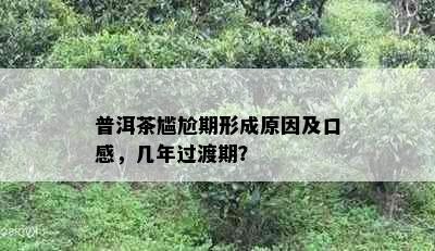 普洱茶尴尬期形成原因及口感，几年过渡期？