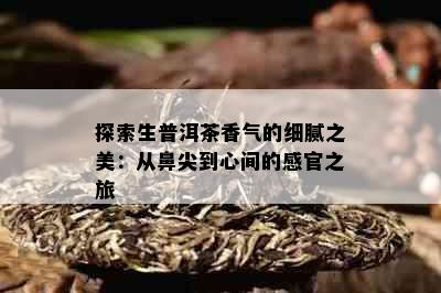 探索生普洱茶香气的细腻之美：从鼻尖到心间的感官之旅