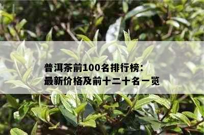 普洱茶前100名排行榜：最新价格及前十二十名一览