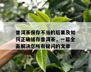 普洱茶保存不当的后果及如何正确储存普洱茶，一篇全面解决您所有疑问的文章