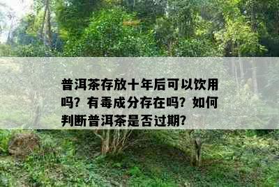 普洱茶存放十年后可以饮用吗？有成分存在吗？如何判断普洱茶是否过期？