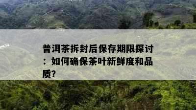 普洱茶拆封后保存期限探讨：如何确保茶叶新鲜度和品质？