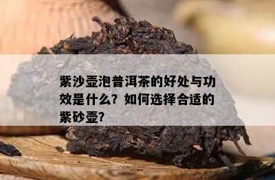 紫沙壶泡普洱茶的好处与功效是什么？如何选择合适的紫砂壶？