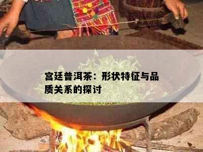 宫廷普洱茶：形状特征与品质关系的探讨