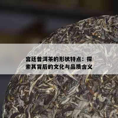 宫廷普洱茶的形状特点：探索其背后的文化与品质含义