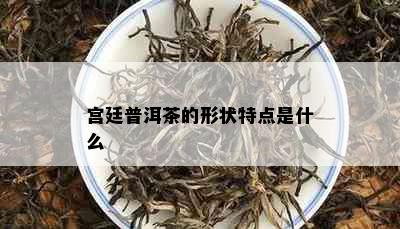 宫廷普洱茶的形状特点是什么