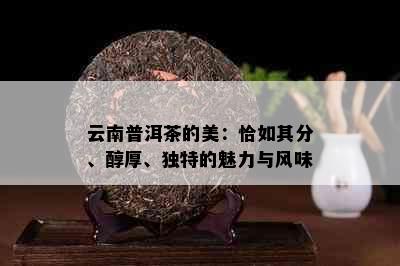 云南普洱茶的美：恰如其分、醇厚、独特的魅力与风味