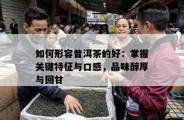 如何形容普洱茶的好：掌握关键特征与口感，品味醇厚与回甘