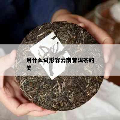 用什么词形容云南普洱茶的美