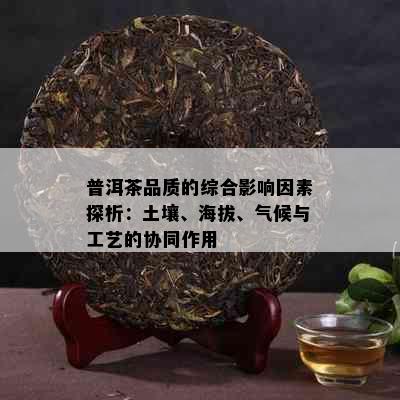 普洱茶品质的综合影响因素探析：土壤、海拔、气候与工艺的协同作用