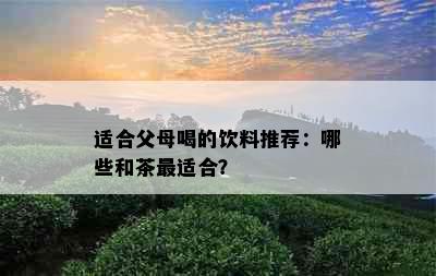 适合父母喝的饮料推荐：哪些和茶最适合？