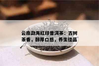 云南勐海红印普洱茶：古树茶香，醇厚口感，养生佳品