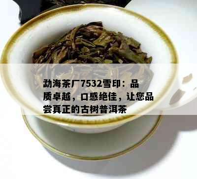 勐海茶厂7532雪印：品质卓越，口感绝佳，让您品尝真正的古树普洱茶