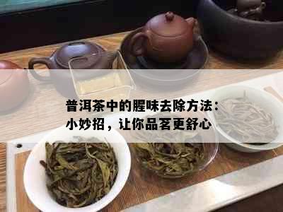 普洱茶中的腥味去除方法：小妙招，让你品茗更舒心