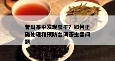 普洱茶中发现虫子？如何正确处理和预防普洱茶虫害问题