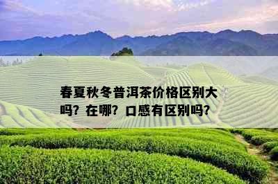 春夏秋冬普洱茶价格区别大吗？在哪？口感有区别吗？