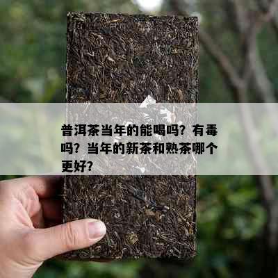 普洱茶当年的能喝吗？有吗？当年的新茶和熟茶哪个更好？