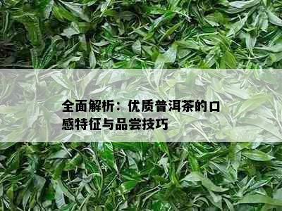 全面解析：优质普洱茶的口感特征与品尝技巧