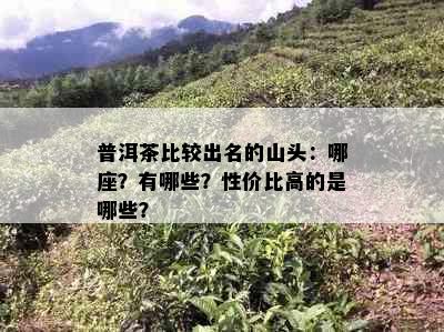 普洱茶比较出名的山头：哪座？有哪些？性价比高的是哪些？