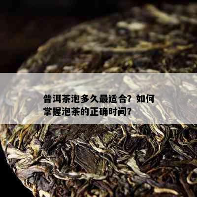 普洱茶泡多久最适合？如何掌握泡茶的正确时间？