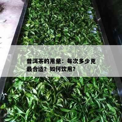 普洱茶的用量：每次多少克最合适？如何饮用？