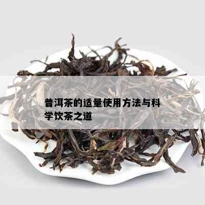 普洱茶的适量使用方法与科学饮茶之道