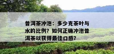 普洱茶冲泡：多少克茶叶与水的比例？如何正确冲泡普洱茶以获得更佳口感？