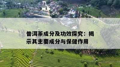 普洱茶成分及功效探究：揭示其主要成分与保健作用