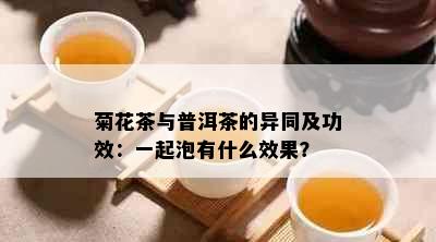 菊花茶与普洱茶的异同及功效：一起泡有什么效果？