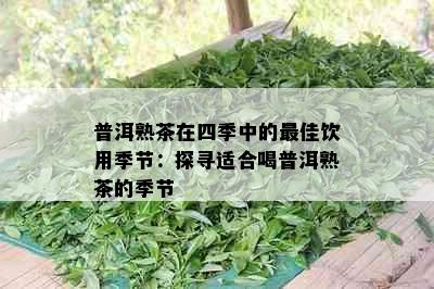 普洱熟茶在四季中的更佳饮用季节：探寻适合喝普洱熟茶的季节