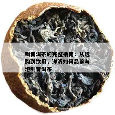 喝普洱茶的完整指南：从选购到饮用，详解如何品鉴与泡制普洱茶