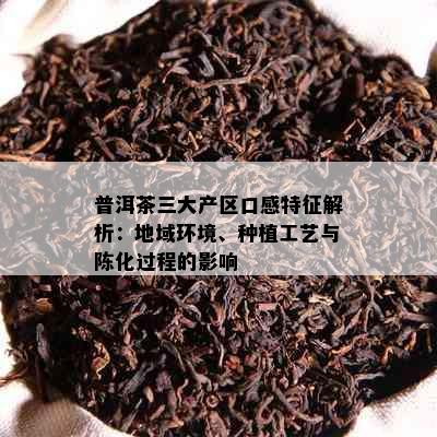 普洱茶三大产区口感特征解析：地域环境、种植工艺与陈化过程的影响