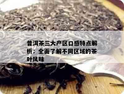 普洱茶三大产区口感特点解析：全面了解不同区域的茶叶风味