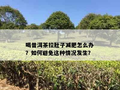 喝普洱茶拉肚子减肥怎么办？如何避免这种情况发生？