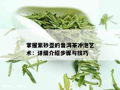 掌握紫砂壶的普洱茶冲泡艺术：详细介绍步骤与技巧