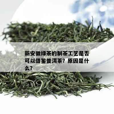 新安徽绿茶的制茶工艺是否可以借鉴普洱茶？原因是什么？