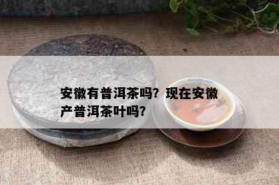 安徽有普洱茶吗？现在安徽产普洱茶叶吗？