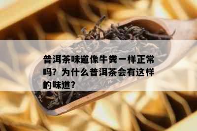 普洱茶味道像牛粪一样正常吗？为什么普洱茶会有这样的味道？