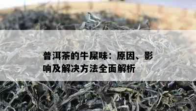 普洱茶的牛屎味：原因、影响及解决方法全面解析