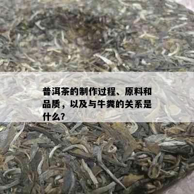 普洱茶的制作过程、原料和品质，以及与牛粪的关系是什么？