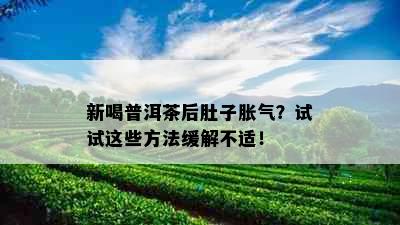 新喝普洱茶后肚子胀气？试试这些方法缓解不适！