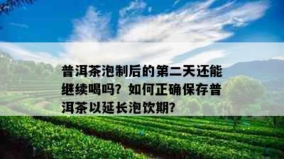 普洱茶泡制后的第二天还能继续喝吗？如何正确保存普洱茶以延长泡饮期？