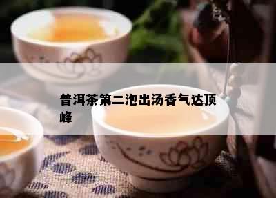 普洱茶第二泡出汤香气达顶峰