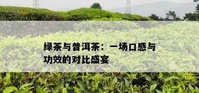 绿茶与普洱茶：一场口感与功效的对比盛宴