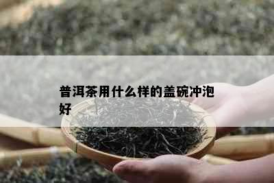 普洱茶用什么样的盖碗冲泡好