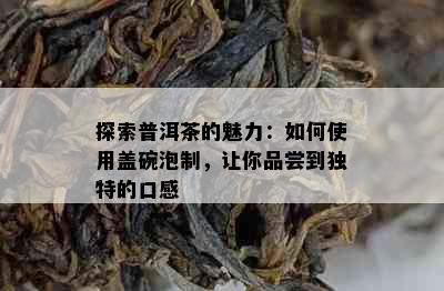 探索普洱茶的魅力：如何使用盖碗泡制，让你品尝到独特的口感