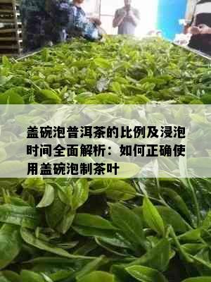 盖碗泡普洱茶的比例及浸泡时间全面解析：如何正确使用盖碗泡制茶叶