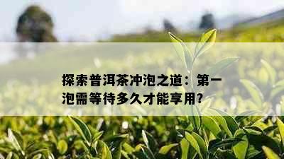 探索普洱茶冲泡之道：之一泡需等待多久才能享用？