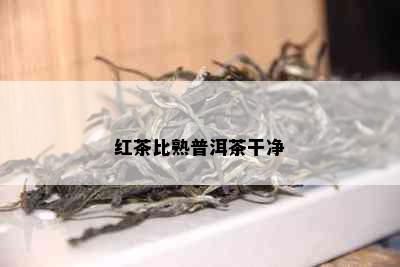 红茶比熟普洱茶干净