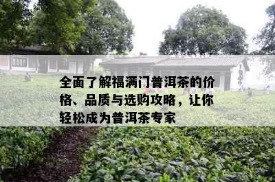 全面了解福满门普洱茶的价格、品质与选购攻略，让你轻松成为普洱茶专家